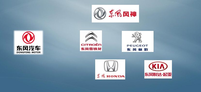 國(guó)內(nèi)客戶分(fēn)布